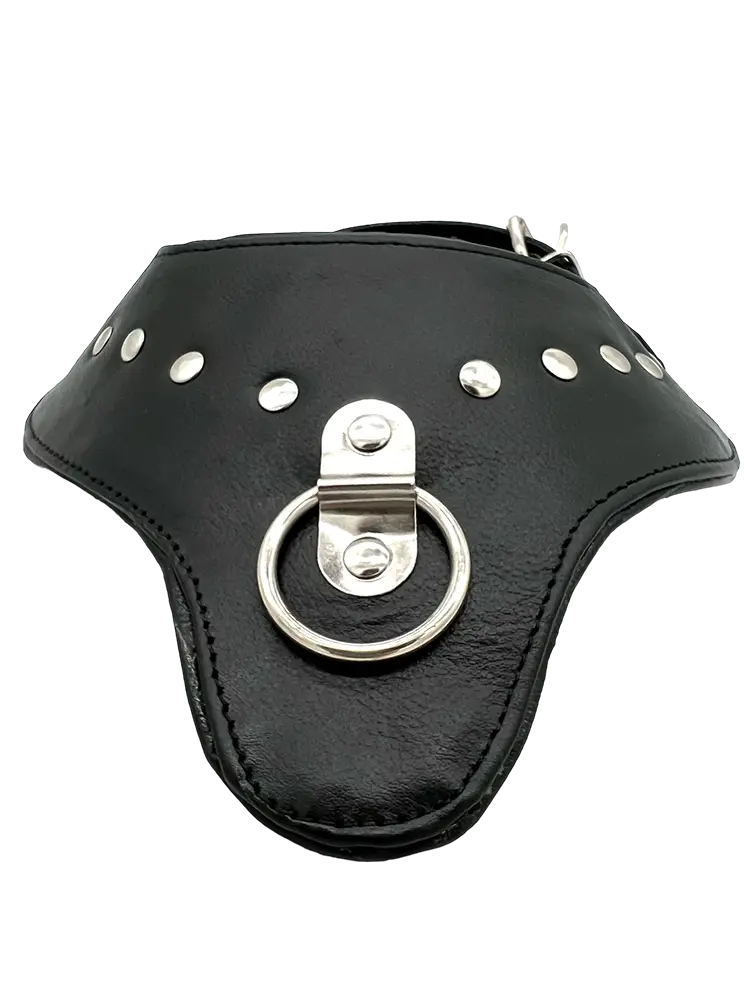 Nelly's collar - svart läderhalsband