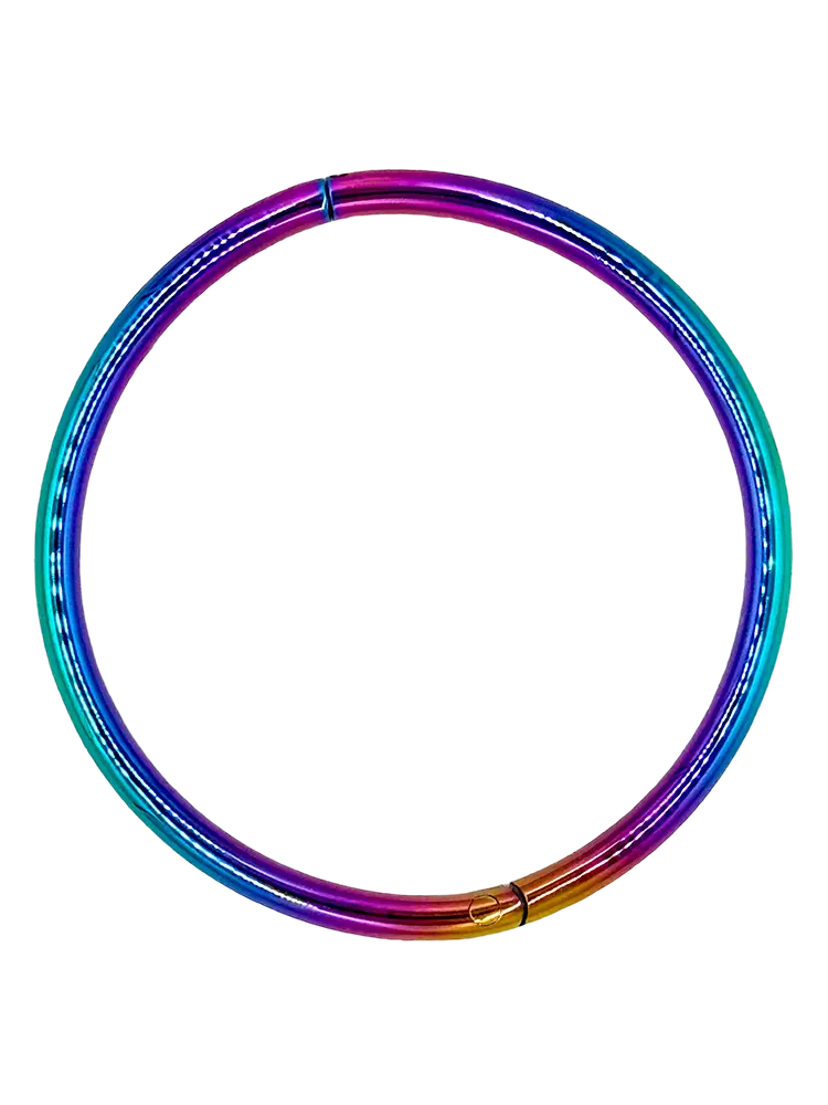 Unicorn Collar metallhalsband i regnbågens färger